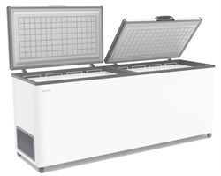 ЛАРЬ МОРОЗИЛЬНЫЙ FROSTOR F 800 SD БЕЛЫЙ (СЕРАЯ РАМКА) STANDART DOUBLE (ПРОПАН) 389366