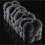 Форма для мороженого/суфле 3D Атомный 250х80мм h80мм (объем 1,2л), силикон KE041S 369274